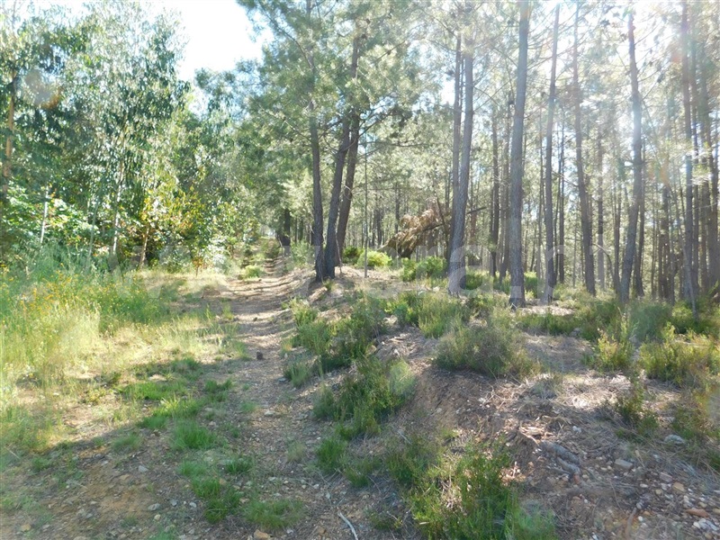 Quinta  Fundão, Souto da Casa - 1092637 - 3