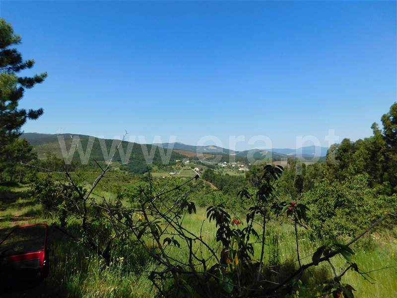 Quinta  Fundão, Souto da Casa - 1092637 - 4