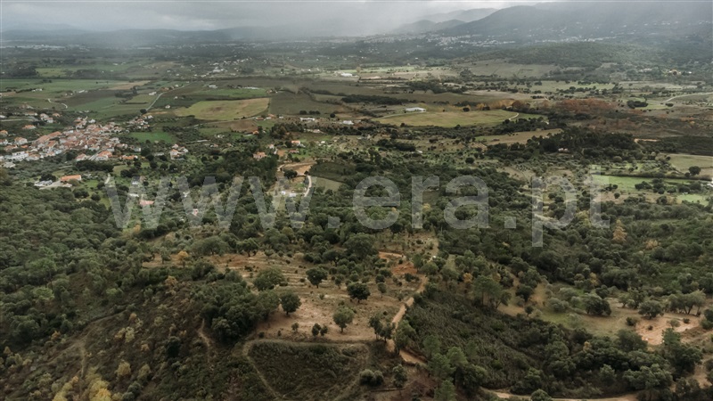 Terreno  Fundão, Telhado - 1404910 - 3