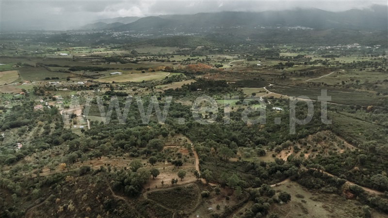 Terreno  Fundão, Telhado - 1404910 - 4