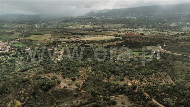 Terreno  Fundão, Telhado - 1404910 - 5