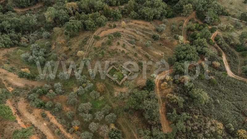 Terreno  Fundão, Telhado - 1404910 - 6