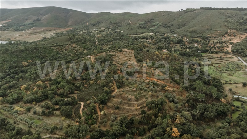 Terreno  Fundão, Telhado - 1404910 - 7