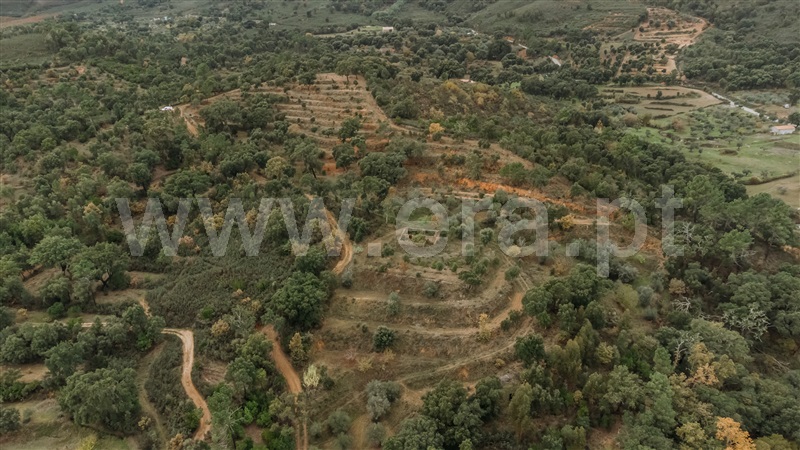 Terreno  Fundão, Telhado - 1404910 - 8