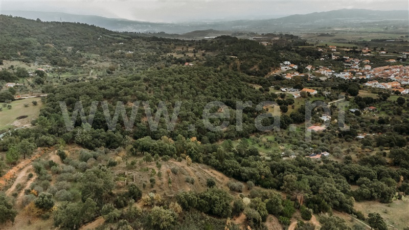 Terreno  Fundão, Telhado - 1404910 - 9