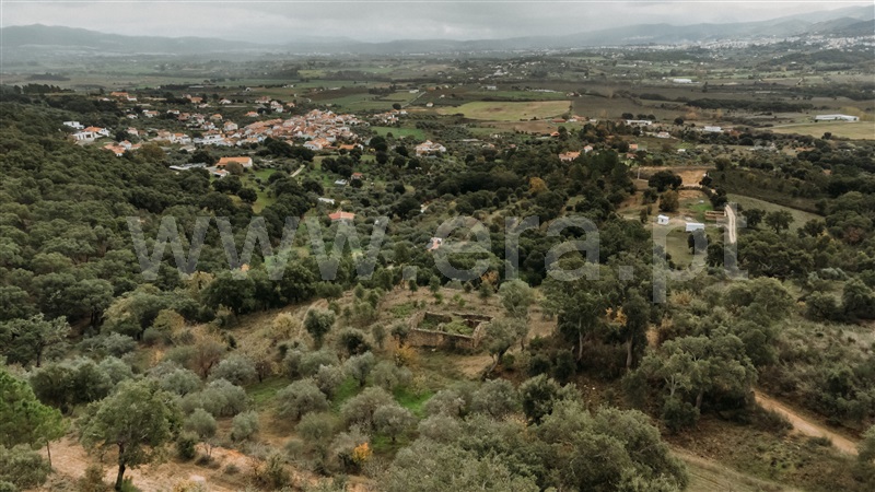 Terreno  Fundão, Telhado - 1404910 - 10