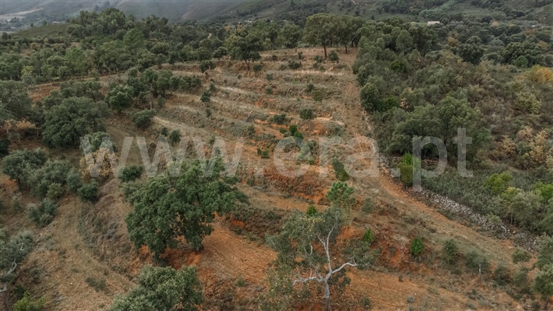 Terreno  Fundão, Telhado - 1404910 - 12