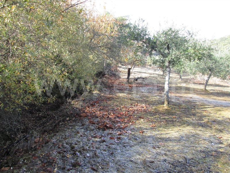 Quinta  Fundão, Telhado - 871121 - 3