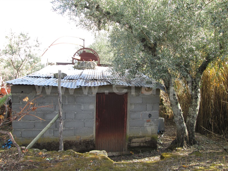 Quinta  Fundão, Telhado - 871121 - 7