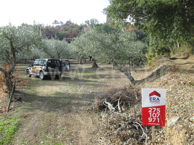 Quinta  Fundão, Telhado - 871121 - 10
