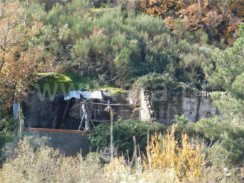 Quinta  Fundão, Vale Prazeres - 1372750 - 4