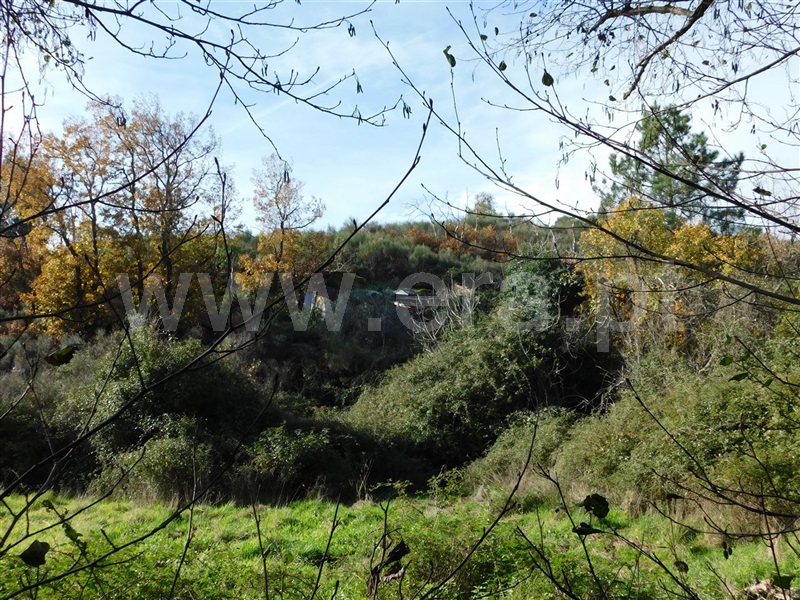 Quinta  Fundão, Vale Prazeres - 1372750 - 10