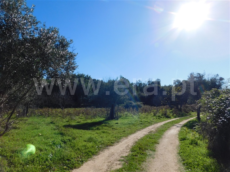 Quinta  Fundão, Vale Prazeres - 1448531 - 3