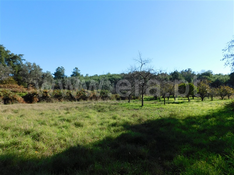 Quinta  Fundão, Vale Prazeres - 1448531 - 9