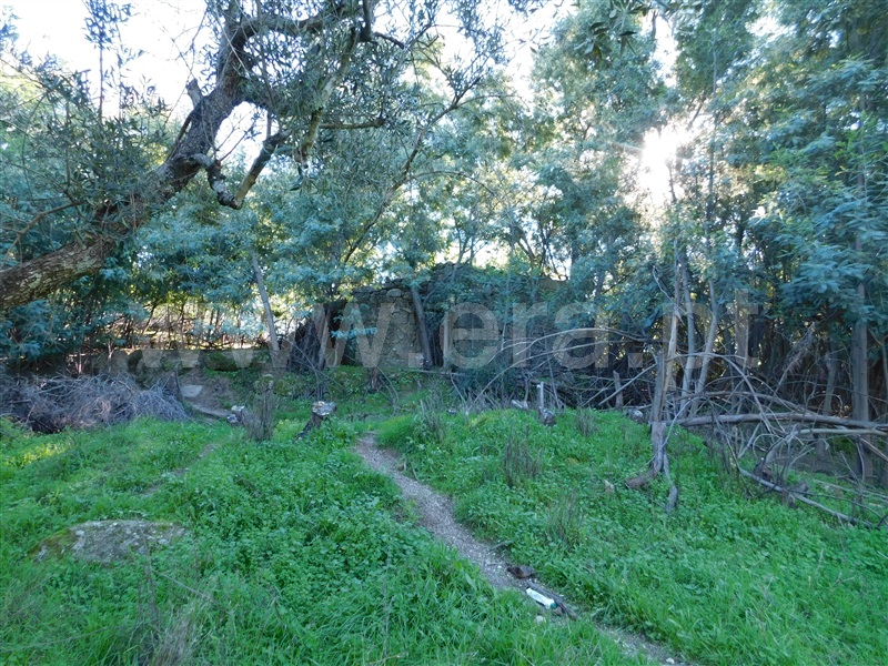 Quinta  Fundão, Vale Prazeres - 1448531 - 13