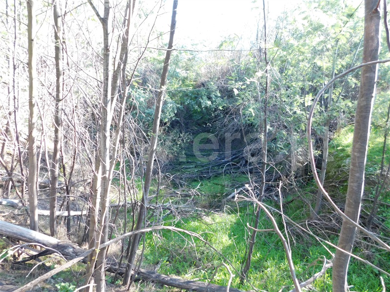 Quinta  Fundão, Vale Prazeres - 1448531 - 15