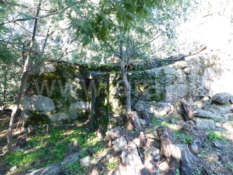 Quinta  Fundão, Vale Prazeres - 1448531 - 17