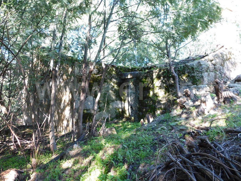 Quinta  Fundão, Vale Prazeres - 1448531 - 18