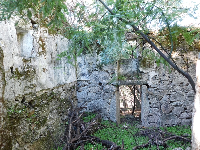Quinta  Fundão, Vale Prazeres - 1448531 - 20