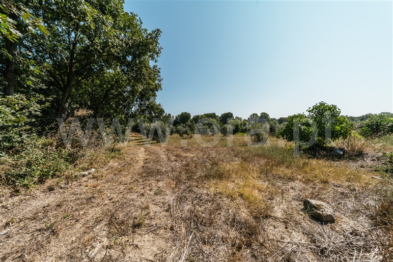 Terreno com ruina  Fundão, Valverde - 1384244 - 6