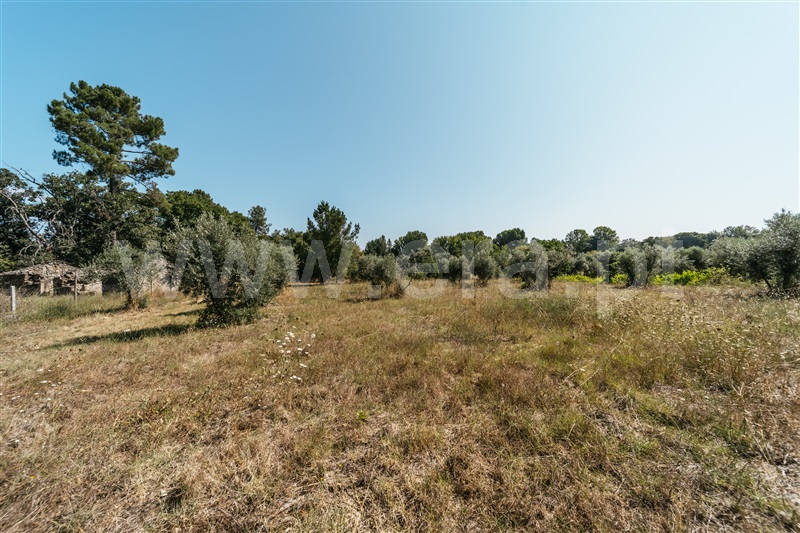 Terreno com ruina  Fundão, Valverde - 1384244 - 7