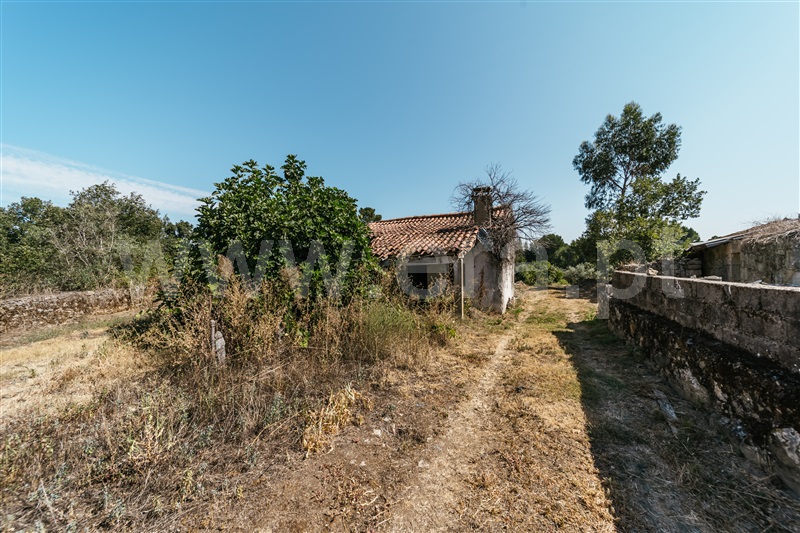 Terreno com ruina  Fundão, Valverde - 1384244 - 9