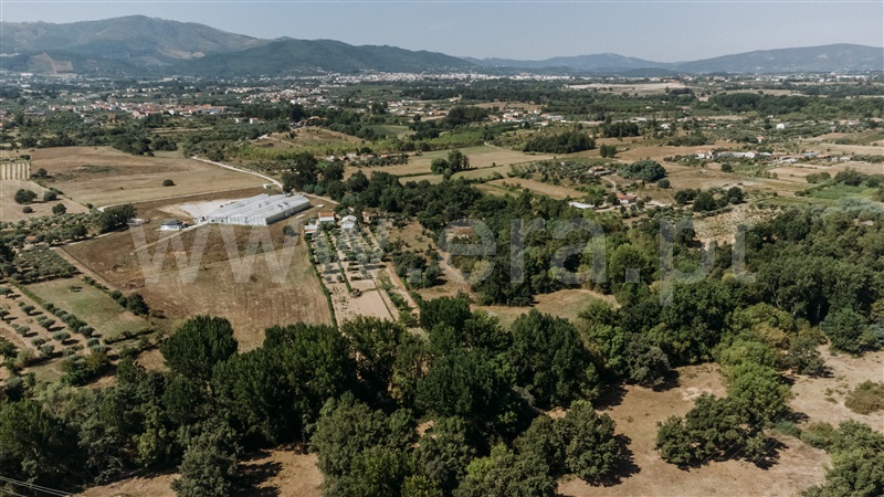 Terreno com ruina  Fundão, Valverde - 1384244 - 15