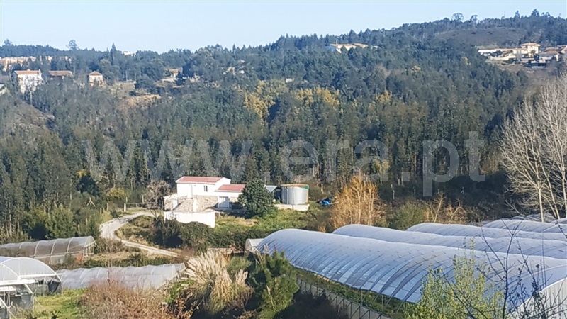 Quinta  Gondomar, Foz do Sousa - 1226868 - 1