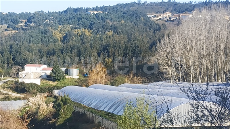 Quinta  Gondomar, Foz do Sousa - 1226868 - 2