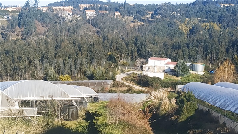 Quinta  Gondomar, Foz do Sousa - 1226868 - 4
