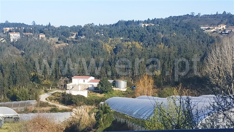 Quinta / Gondomar, Foz do Sousa