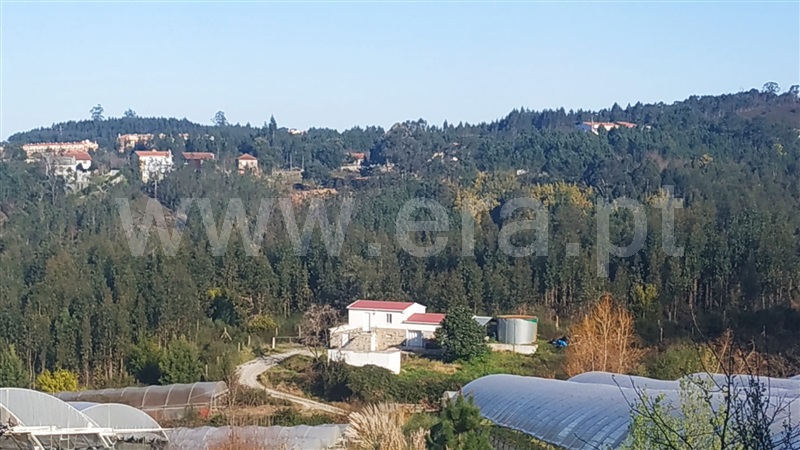 Quinta  Gondomar, Foz do Sousa - 1226868 - 6