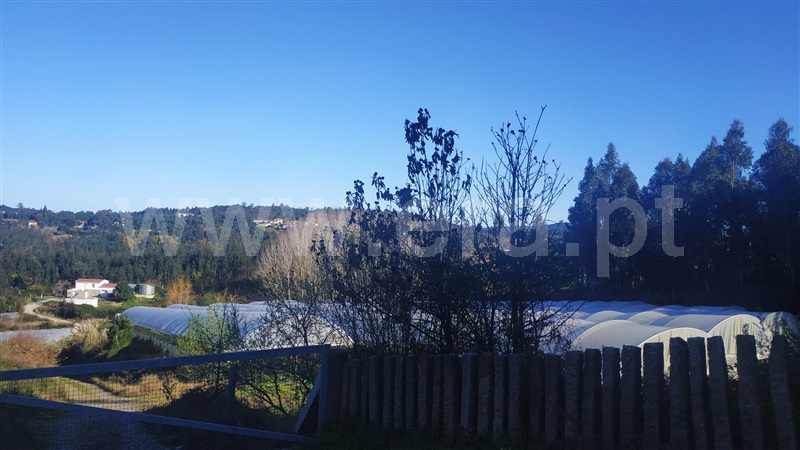 Quinta  Gondomar, Foz do Sousa - 1226868 - 10