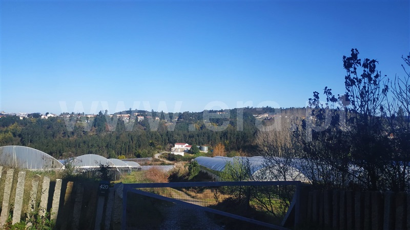 Quinta  Gondomar, Foz do Sousa - 1226868 - 11