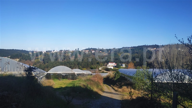 Quinta  Gondomar, Foz do Sousa - 1226868 - 16