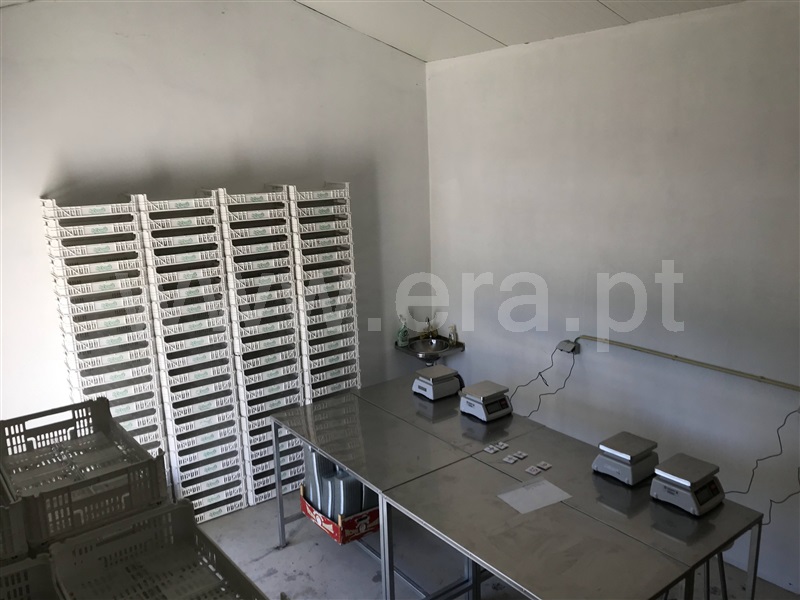 Quinta  Gondomar, Foz do Sousa - 1226868 - 18