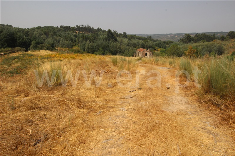 Quinta  Gouveia, - 1494415 - 2