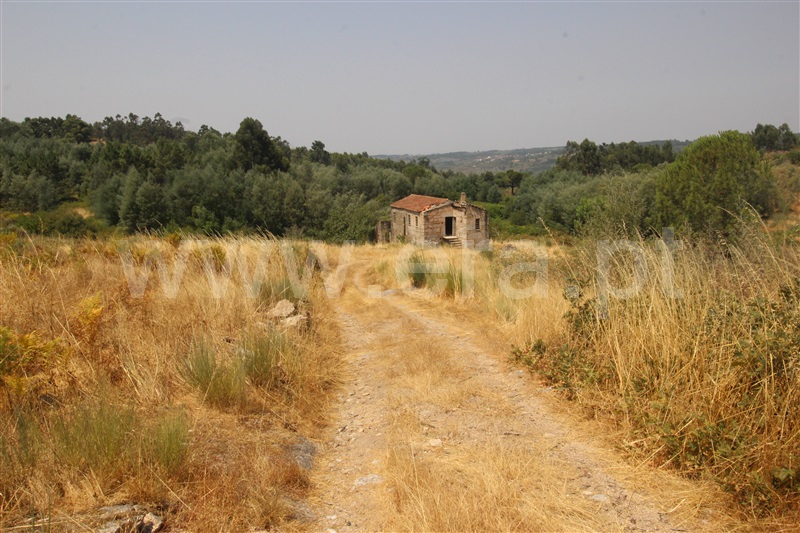 Quinta  Gouveia, - 1494415 - 5