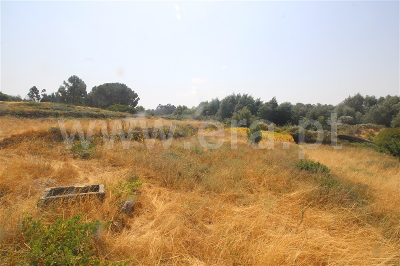 Quinta  Gouveia, - 1494415 - 14