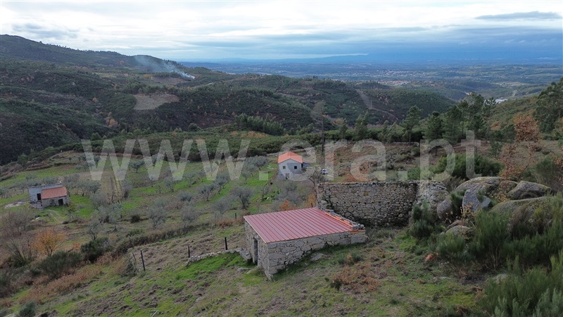 Quinta / Gouveia, Mangualde da Serra