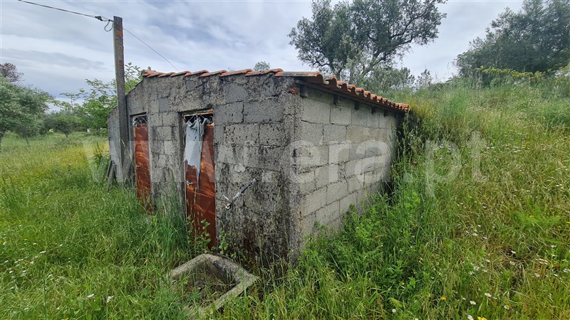 Quinta  Gouveia, Melo e Nabais - 1406286 - 11