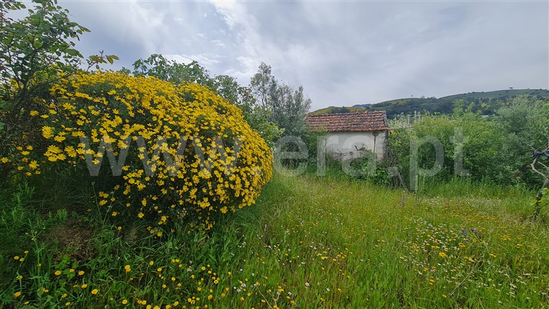 Quinta  Gouveia, Melo e Nabais - 1406286 - 14