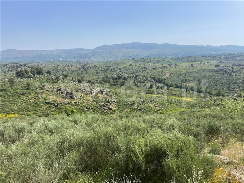 Quinta / Gouveia, Ribamondego