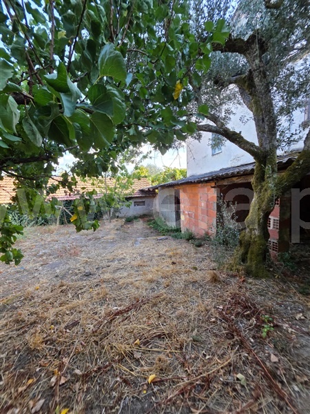 Quinta  Gouveia, Rio Torto e Lagarinhos - 1513630 - 2