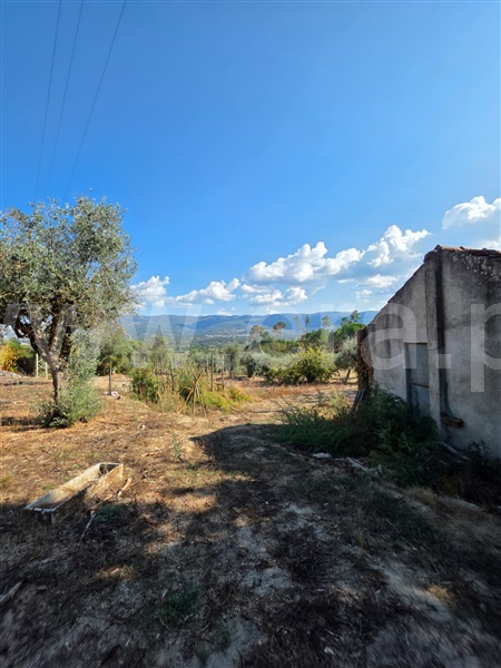 Quinta  Gouveia, Rio Torto e Lagarinhos - 1513630 - 3