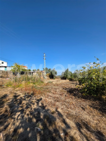 Quinta  Gouveia, Rio Torto e Lagarinhos - 1513630 - 4