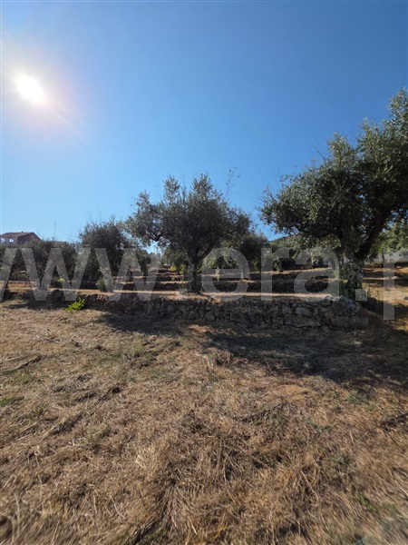 Quinta  Gouveia, Rio Torto e Lagarinhos - 1513630 - 5