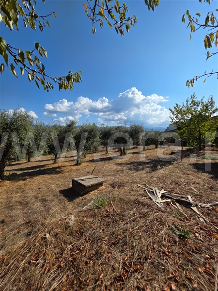 Quinta  Gouveia, Rio Torto e Lagarinhos - 1513630 - 6