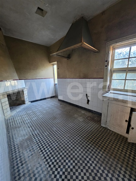 Quinta  Gouveia, Rio Torto e Lagarinhos - 1513630 - 15