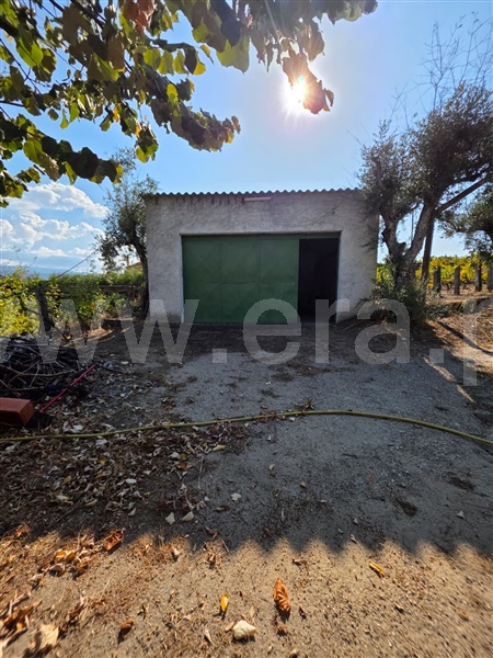 Quinta  Gouveia, Rio Torto e Lagarinhos - 1513630 - 17